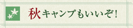 夜のキャンプもいいぞ