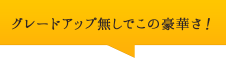 グレードアップ無しでこの豪華さ！