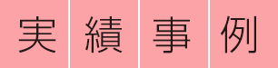 実績紹介