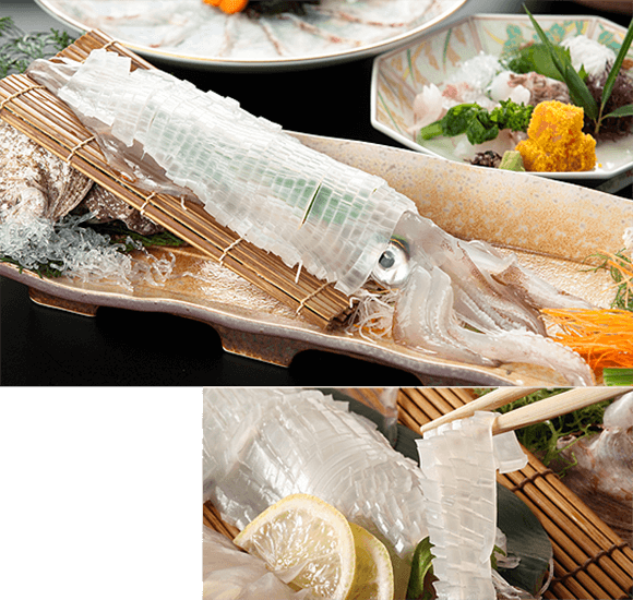 日本海の夏の名物活き烏賊