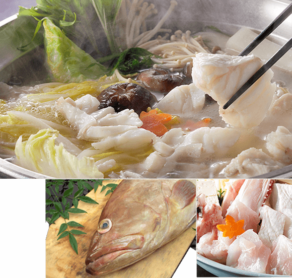 幻の高級魚クエ