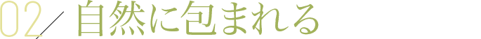 自然に包まれるの画像