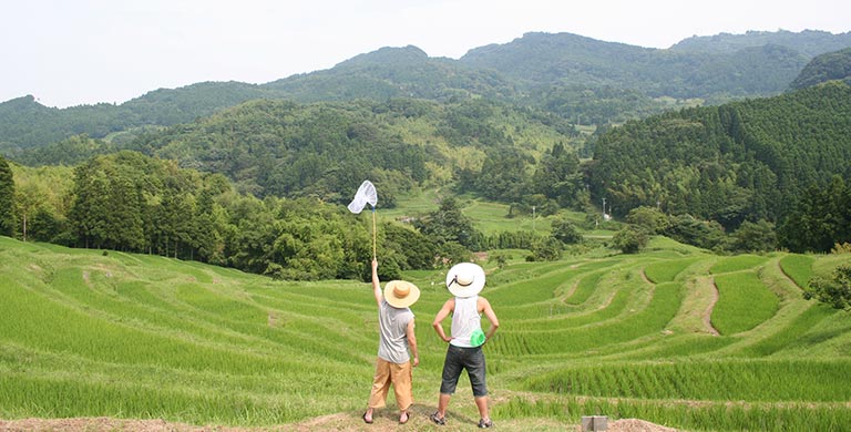 夏の少年