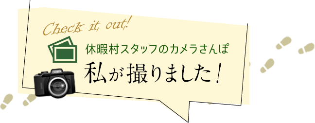 私が撮りました