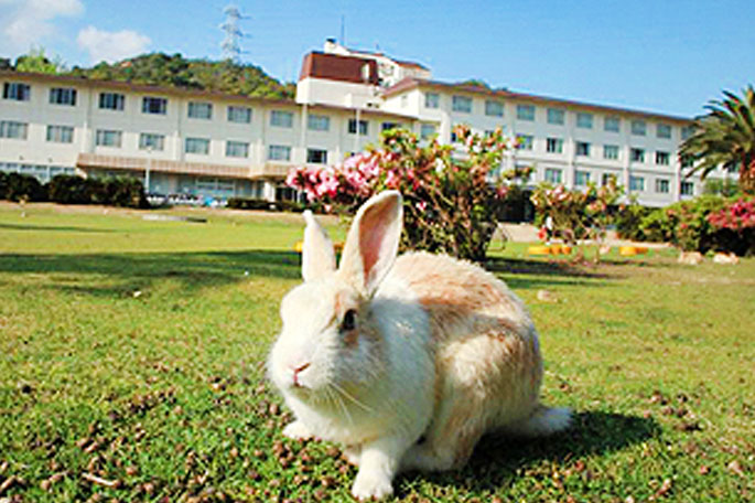 休暇村大久野島の画像