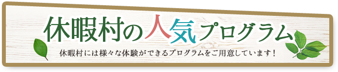 休暇村の人気プログラムの画像