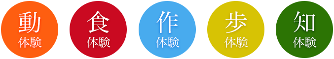 の画像