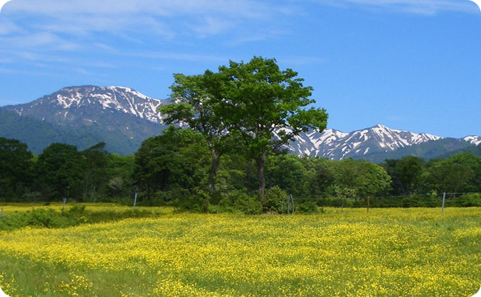 景色や植物に癒やされる!