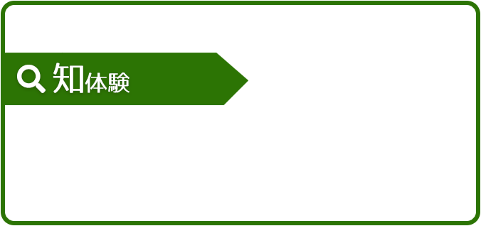 知体験の画像
