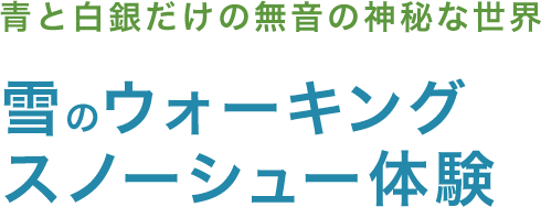 青と白銀だけの無音の神秘な世界 雪のウォーキングスノーシュー体験
