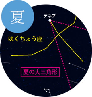夏の星座