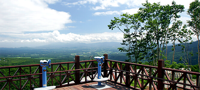 休暇村 岩手網張温泉の景色（玄関前から）
