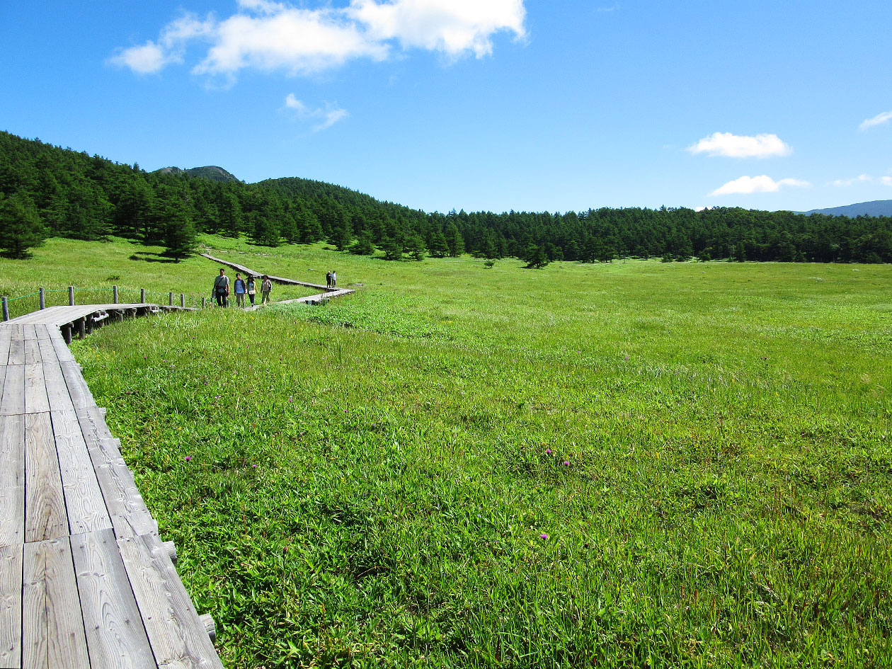 可憐な高山植物と壮大な景色