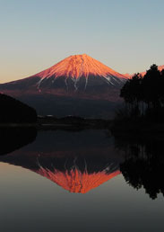 紅富士