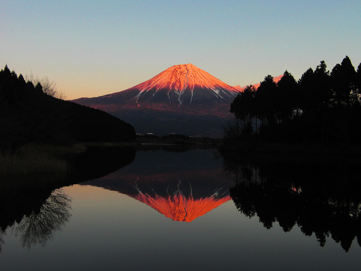 紅富士