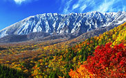 鍵掛峠からの紅葉の大山