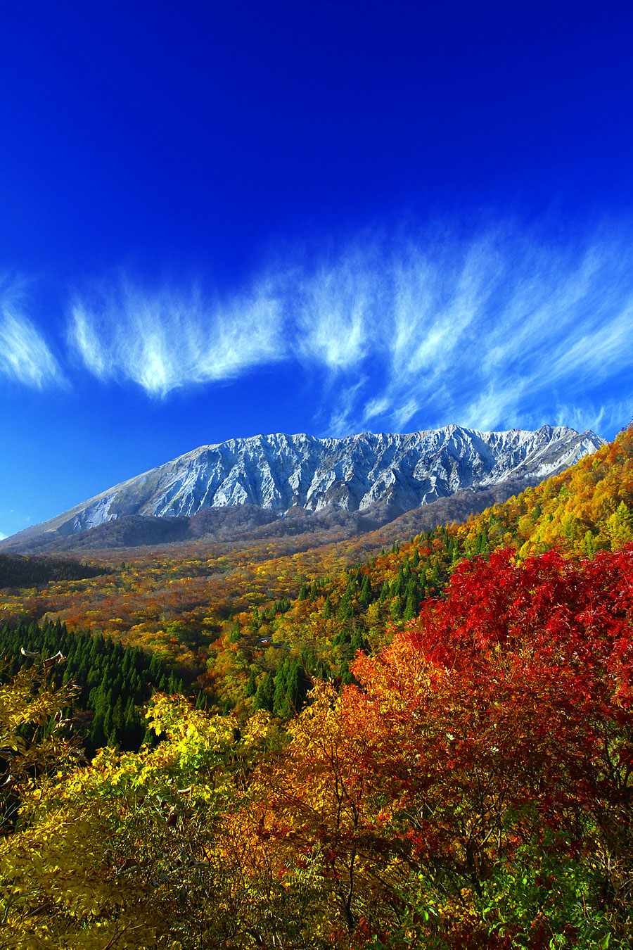鍵掛峠からの紅葉の大山