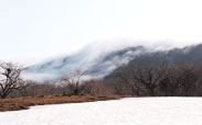 霧の山くだり(逆さ霧)