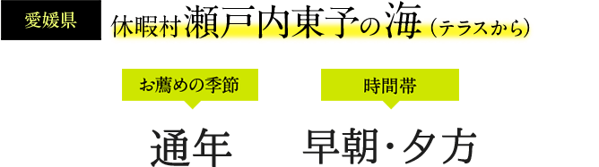 休暇村 瀬戸内東予の海（テラスから）