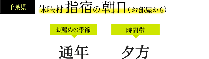 休暇村 指宿の朝日（お部屋から）