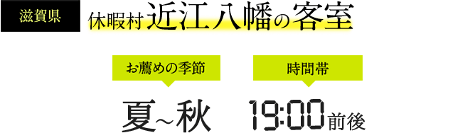 休暇村 近江八幡の客室