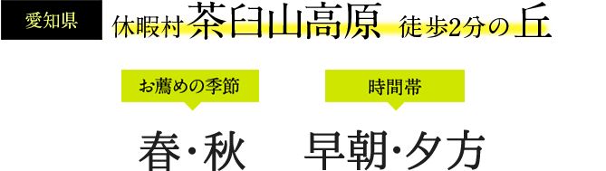 休暇村 茶臼山高原 徒歩2分の丘