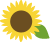 夏