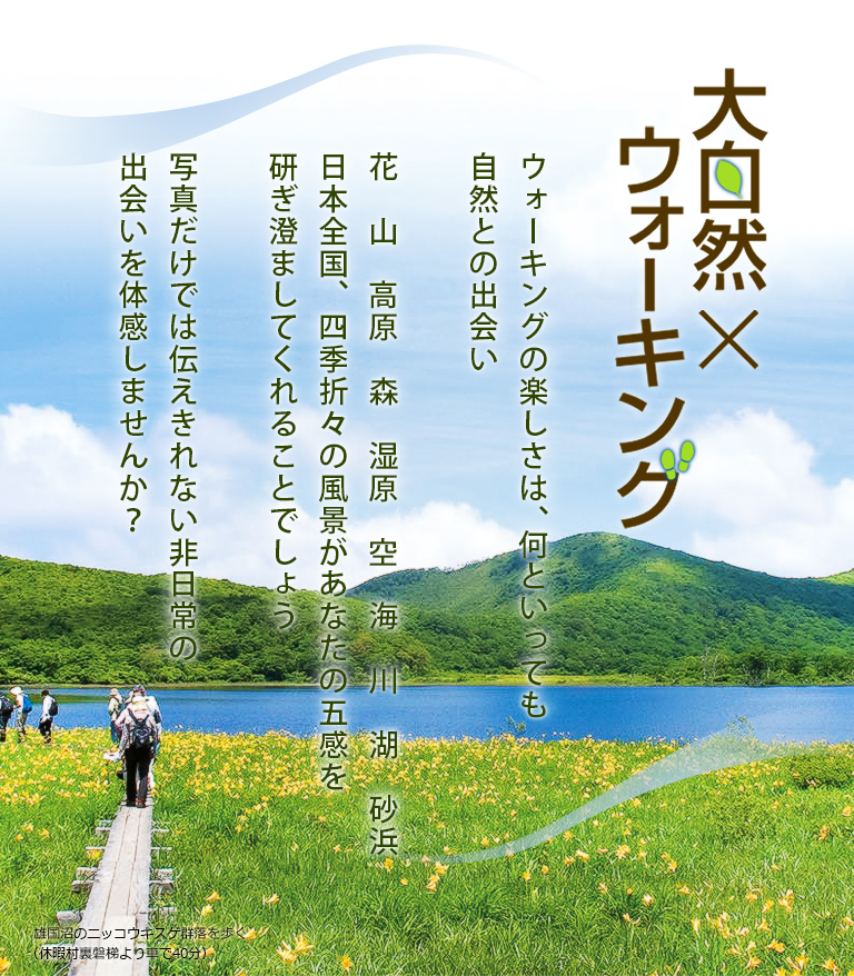 大自然ｘウォーキング