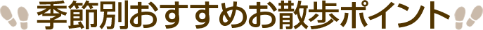季節別おすすめ散歩ポイント