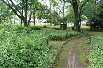休暇村 南阿蘇
