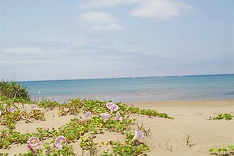 休暇村 能登千里浜