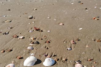 休暇村 能登千里浜