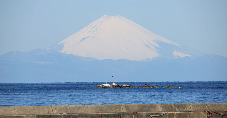 体験プログラム
