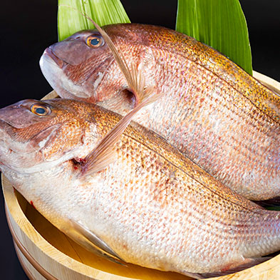 鯛