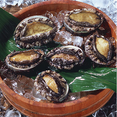 鮑