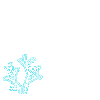 海藻