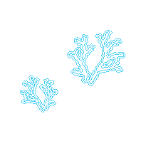 海藻