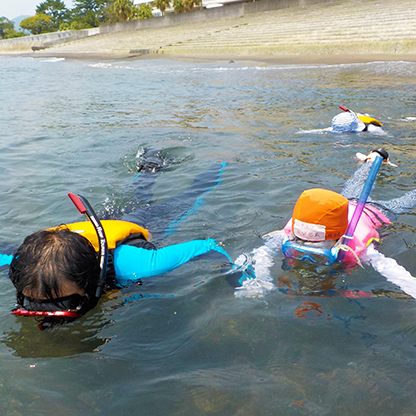 指宿 ～最高の景色を眺めながら～ 穏やかな錦江湾で海さんぽ！初心者向けシュノーケリング体験