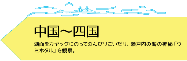 中国～四国