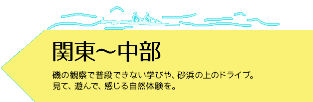 関東～中部
