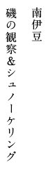 南伊豆 磯の観察＆シュノーケリング