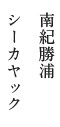 南紀勝浦 シーカヤック