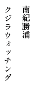 南紀勝浦 クジラウォッチング