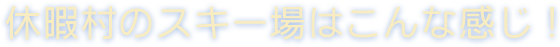 休暇村のスキー場はこんな感じ!