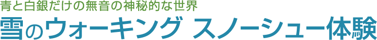 雪のウォーキング スノシュー体験