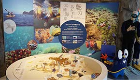 ブルーミュージアム（竹野スノーケルセンター）